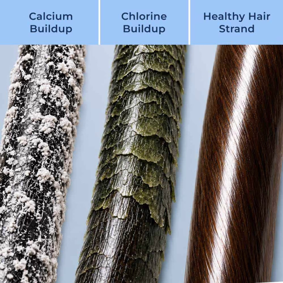 Hair compared after exposure to hard, chlorinated water